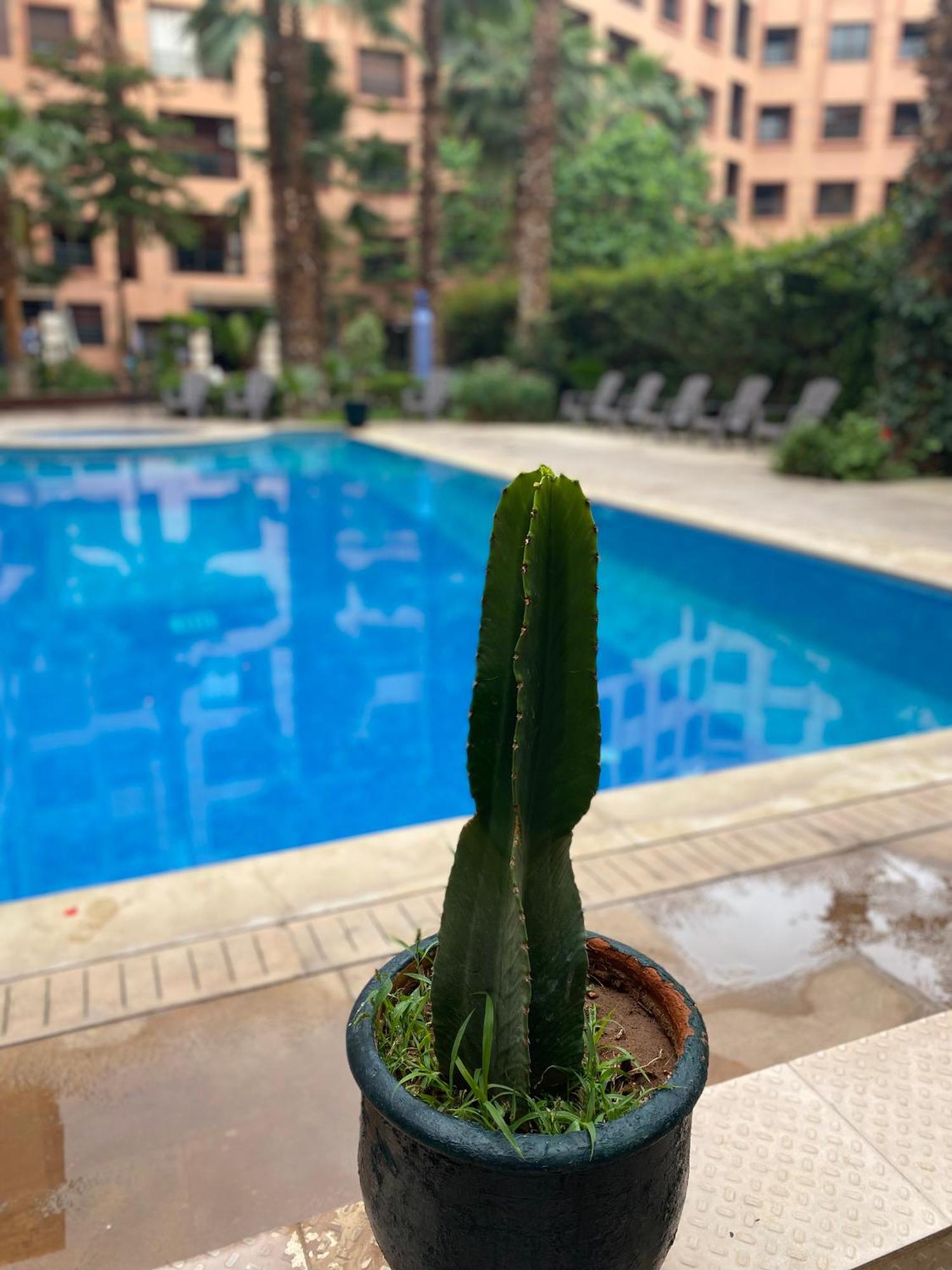 Résidence Caprice Palace Hivernage Marrakesh Extérieur photo